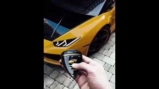 Colour changing LAMBORGHINI with all colours with remote