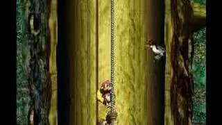 Donkey Kong Country 3 (SNES) 103% 25/26