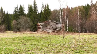 Ночуем в дождь и холод на урочище/ летняя палатка с печкой спасла ситуацию!!! №235