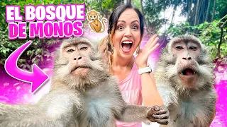 MI PRIMER ENCUENTRO CON MONOS 😱 Monkey Forest Ubud Bali 😍 Sandra Cires Art