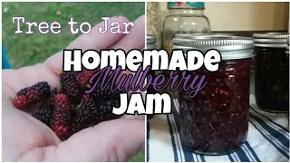 MULBERRY JAM | Simple recipe | Canning jam