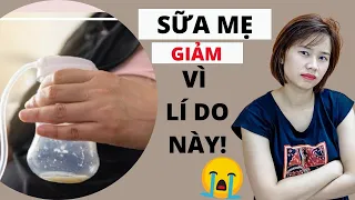 Muốn TĂNG LƯỢNG SỮA MẸ đừng làm ĐIỀU NÀY (10 sai lầm khiến lượng sữa mẹ giảm)