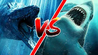 Megalodon vs Mosasaurus. Quem venceria na batalha entre esses dois colossos?