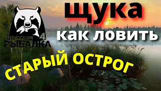 ЩУКА - СТАРЫЙ ОСТРОГ КАК И ГДЕ ЛОВИТЬ Фарм / РУССКАЯ РЫБАЛКА 4 / РР4 / Russian Fishing 4 Топ джерки