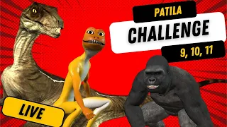 Patila Challenge 09, 10, 11 Live Streaming