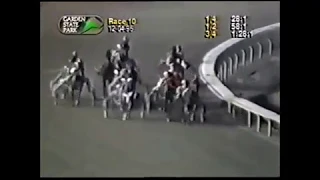 Garden State Park & Roosevelt Raceway -  Bob Vitrano Harness Racing