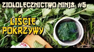 "Ziołolecznictwo Ninja #5" - POKRZYWA - WZMOCNIENIE ORGANIZMU, LEK NA TRĄDZIK, SZAMPON