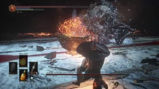 Sister Friede boss w/Gael npc