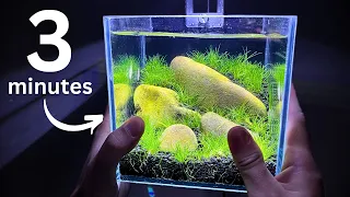 Nano shrimp tank in 3 minutes?! Step by step tutorial!