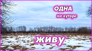 День из жизни хуторянки. Обычный, легкий, неприметный