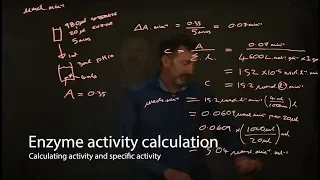Enzyme calculations - enzyme activity and specific activity