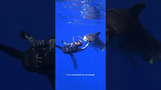 Stubborn shark behavior ‼️🤩 #sharks #shorts #sharkdiving
