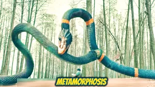 Metamorphosis (2022) Film Explained in Hindi/Urdu Summarized हिन्दी