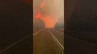 Война Россия Украина.  В россии лесные пожары не тушат, нет техники