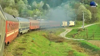 Călătorie Vișeu de Jos-Săcel-Dealul Ștefăniței Train Ride pe Apus/on Sunset - 24 April 2019