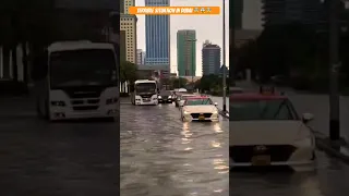 Terrible Situation in Dubai : Flash Flood and Heavy rain hit 🇦🇪 #shorts #flashflood #flood #uae