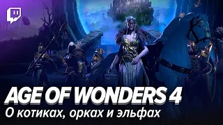 Age of Wonders 4. О котиках, орках и эльфах