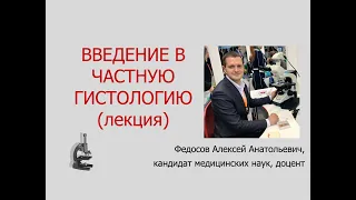 ВВЕДЕНИЕ В ЧАСТНУЮ ГИСТОЛОГИЮ (ЛЕКЦИЯ)