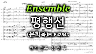 평행선(앙상블)-편곡,연주 김병우