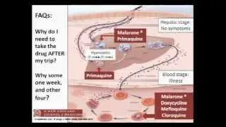 The Returning ILL Intercontinental Traveler- Dr. Ricardo Arbulu, 1/30/13