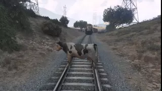 Train Hits Cow