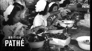 Feeding The Troops In Malaya (1950-1959)
