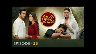 Ibn Hawa  Episode 25th  24 July 2022 ( ARY D ) HUM TV