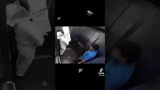Bees in elevator prank - crazy reaction