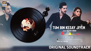 Tum Bin Kesay Jiyen - OST | Audio 🎧 | Raafay Israr | ARY Digital Worldwide🌐Songs532