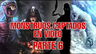 TOP 7 VIDEOS IMPACTANTES QUE CAPTAN ANIMALES Y SERES EXTRAÑOS ALREDEDOR DEL MUNDO -PARTE 6