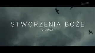 Stworzenia boże | w Cinemax