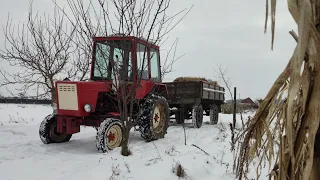 Тягнемо двоосний прицеп з соломою на т 25, не до 2птс4