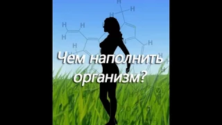 Столешников А П  Чем наполнить организм