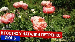 В гостях у Наталии Петренко - июнь