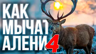 Как мычат Алени ч4 🦌 Весенний Гон | Челлендж - дослушай до конца и выбери своего Аленя