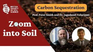 Zoom into Soil: Carbon Sequestration