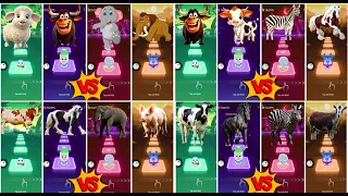 Funny Cows Dance🆚Funny Elephant All🆚Funny Ferdinand🆚Funny Zebra All🆚Funny Horses💫Lets See 🎶👍