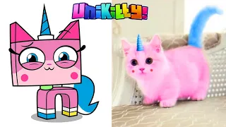 Unikitty Characters In Real Life | MR RYDER PIG NA