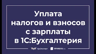 Уплата налогов и взносов с зарплаты в 1С 8.3 Бухгалтерия