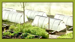 My Hoop Cold Frame Raised Bed Design and DIY Build, Gardener's Tips, P.1 | Garden Countryside Life