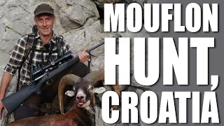 Mouflon Hunt, Croatia