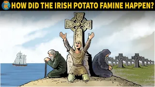 How did the Irish Potato Famine Happen?