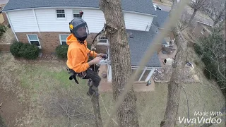 😱SPEED🛑KILLS😱 (Tree Climbing Fail)