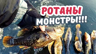 УРА! ПЕРВЫЙ ЛЕД!!! Открываю зимний сезон. Рыбалка на КРУПНОГО РОТАНА