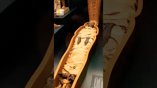 🇻🇦 Once with a real mummy in #Vatican #once #travel #tiktok #mummy #egypt