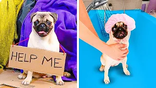 KINDNESS IS SO SIMPLE! 32 sweet ideas for pets, dog’s and cat’s gadgets || Homeless dog story