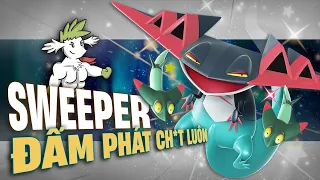 I rank the top 20 strongest Physical Sweepers | Shaymin Ahhh | STATS.