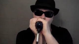 I'm A Man - Bo Diddley blues harmonica cover