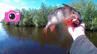 Волжанка 46 fish..дельта Северной двины.. Катания... Поклевки.. Танцы