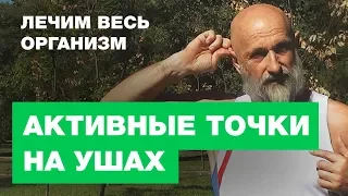 Восстановление Органов - Активные Точки На Ушах